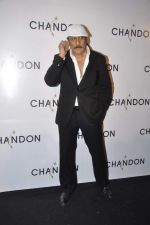 Jackie Shroff at Moet Hennesey launch of Chandon wines made now in India in Four Seasons, Mumbai on 19th Oct 2013